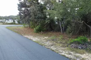 3300 Alcan Ave, Spring Hill, FL 34608 - Photo 1