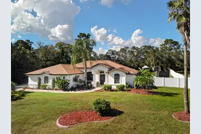 12295 Comstock Street, Spring Hill, FL 34609 - Photo 1