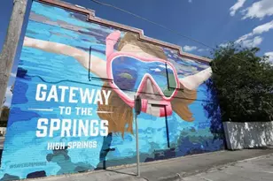 24415 NW 90th Pl, Alachua, FL 32615 - Photo 36