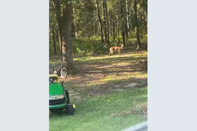 24415 NW 90th Place, Alachua, FL 32615 - Photo 28