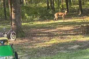 24415 NW 90th Pl, Alachua, FL 32615 - Photo 28