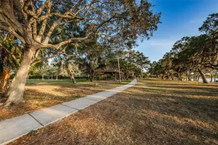 646 Timber Bay Cir W, Oldsmar, FL 34677 - Photo 48