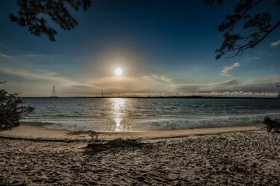 646 Timber Bay Circle W, Oldsmar, FL 34677 - Photo 46