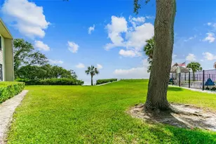 424 Windrush Bay Dr, Tarpon Springs, FL 34689 - Photo 46