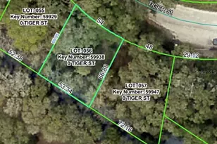 3217 Tiger St, Dade City, FL 33523 - Photo 1