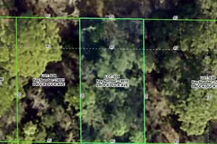 Rock Duck Ave, Brooksville, FL 34614 - Photo 1