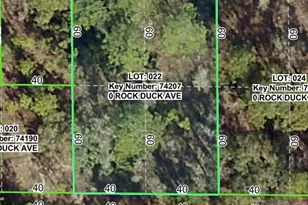 Rock Duck Ave, Brooksville, FL 34614 - Photo 1