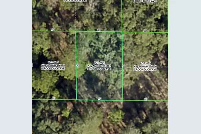 Rock Duck Avenue, Brooksville, FL 34614 - Photo 2