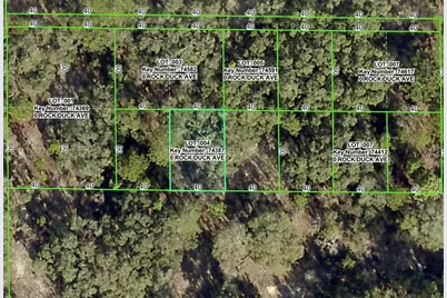 Rock Duck Avenue, Brooksville, FL 34614 - Photo 1