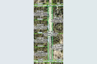 Charlton Drive, Brooksville, FL 34614 - Photo 1