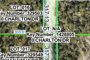 Charlton Dr, Brooksville, FL 34614 - Photo 1