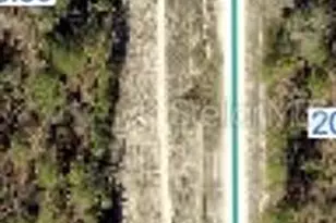 Senator Rd, Brooksville, FL 34614 - Photo 1