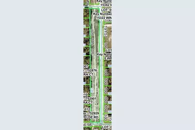 Senator Road, Brooksville, FL 34614 - Photo 2
