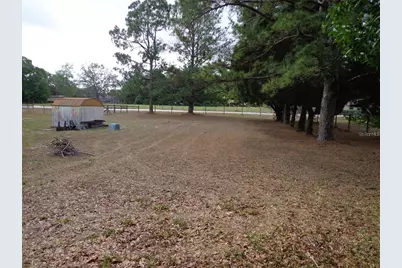 17911 Orange Drive, Spring Hill, FL 34610 - Photo 12