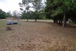 17911 Orange Dr, Spring Hill, FL 34610 - Photo 12