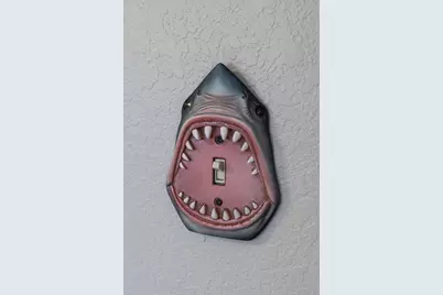 5492 SW 358 Highway, Steinhatchee, FL 32359 - Photo 40