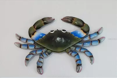 5492 SW 358 Highway, Steinhatchee, FL 32359 - Photo 36