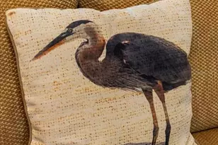 5492 SW 358 Hwy, Steinhatchee, FL 32359 - Photo 52