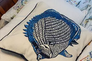 5492 SW 358 Hwy, Steinhatchee, FL 32359 - Photo 46