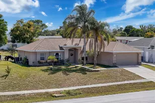 12552 Corrine Ave, Spring Hill, FL 34609 - Photo 4