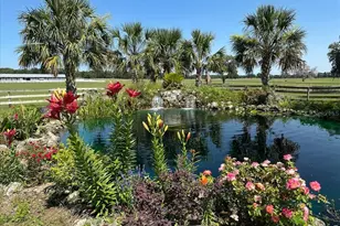 10151 NW 70 St, Chiefland, FL 32626 - Photo 78