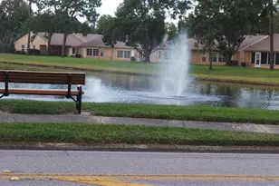 4739 Carrington Ct, New Port Richey, FL 34655 - Photo 40