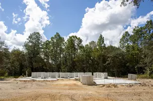 3818 W Birds Nest Dr, Beverly Hills, FL 34465 - Photo 4