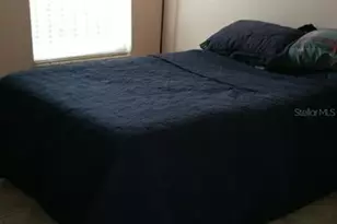 13523 White Elk Loop, Tampa, FL 33626 - Photo 10