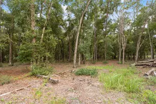 16481 Oakview Dr, Brooksville, FL 34601 - Photo 36