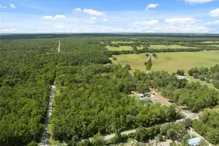 16481 Oakview Dr, Brooksville, FL 34601 - Photo 54