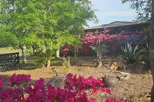 470 Fay Ave, Spring Hill, FL 34609 - Photo 8