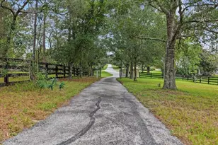 470 Fay Ave, Spring Hill, FL 34609 - Photo 6