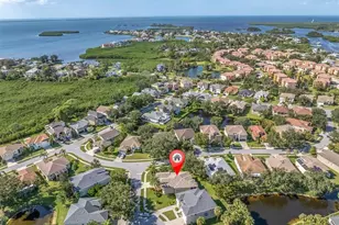 1001 Spoontail Ct, Tarpon Springs, FL 34689 - Photo 44