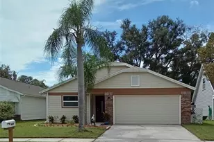 11204 Elmfield Dr, Tampa, FL 33625 - Photo 1