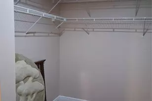 11204 Elmfield Dr, Tampa, FL 33625 - Photo 16