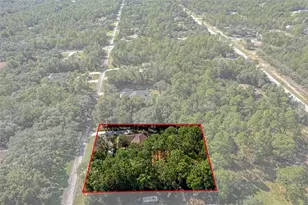 3327 W Brazilnut Rd, Beverly Hills, FL 34465 - Photo 8