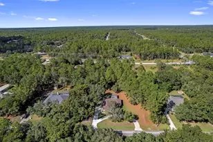 3327 W Brazilnut Rd, Beverly Hills, FL 34465 - Photo 10