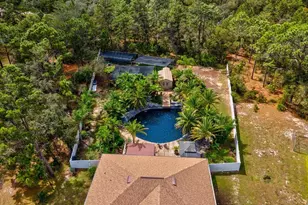 9027 Mavis Rd, Weeki Wachee, FL 34613 - Photo 6