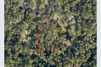0 Ray Browning Road, Brooksville, FL 34601 - Photo 1