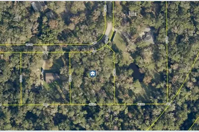 0 Ray Browning Road, Brooksville, FL 34601 - Photo 4