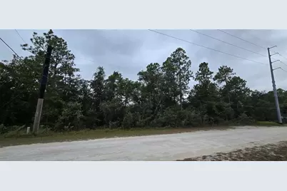 13476 Canada Goose Road, Brooksville, FL 34614 - Photo 4