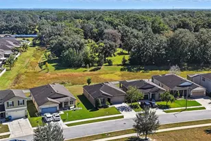 988 Scarlet Plume Ln, Brooksville, FL 34604 - Photo 46