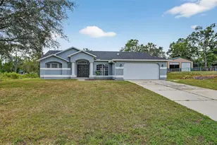 10294 Desert Sparrow Ave, Weeki Wachee, FL 34613 - Photo 2