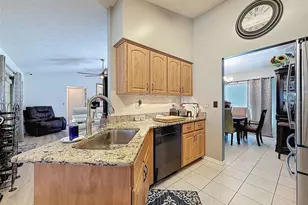 11225 Roman St, Spring Hill, FL 34609 - Photo 14