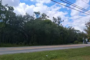 0 Ponce De Leon Blvd, Brooksville, FL 34601 - Photo 1