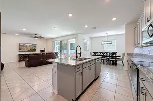 3797 Autumn Amber Dr, Spring Hill, FL 34609 - Photo 14