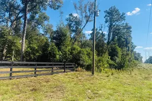 843 SW Central Terrace, Fort White, FL 32038 - Photo 2