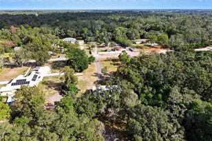 15616 Larry Rd, Spring Hill, FL 34610 - Photo 42