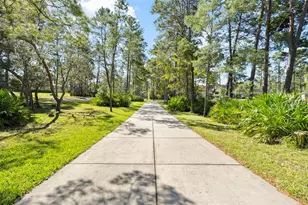 11200 Woodland Waters Blvd, Weeki Wachee, FL 34613 - Photo 6