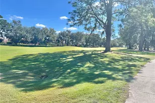 1130 Hominy Hill Dr, Trinity, FL 34655 - Photo 34